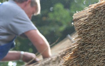 professional Neasden thatchers